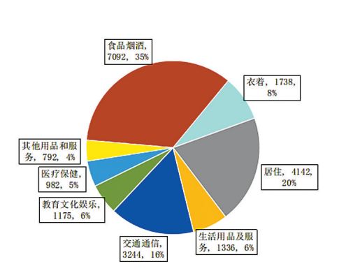 2025年西藏自治區(qū)國(guó)民經(jīng)濟(jì)和社會(huì)發(fā)展統(tǒng)計(jì)公報(bào) 社會(huì)經(jīng)濟(jì)咨詢(xún)服務(wù)為新動(dòng)力